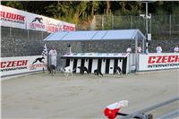 Greyhound_Racing_Track_Prague_Greyhound_Park_Motol_CGDF_IMG_2549.JPG