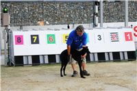 Greyhound_Schooling_Academy_Greyhound_Track_Prague_Park_CGDF_IMG_2578.JPG