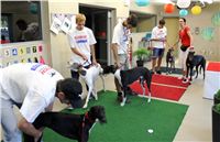 Racing_Paddock_Greyhound_Racing_Track_Prague_Park_CGDF_IMG_2540.JPG