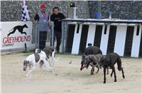 Dog_Brother_Greyhound_Park_Motol_CGDF_IMG_2781.JPG