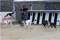 Dog_Brother_Greyhound_Park_Motol_CGDF_IMG_2808.JPG