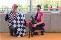 Dog_Brother_Greyhound_Park_Motol_CGDF_IMG_2871.JPG