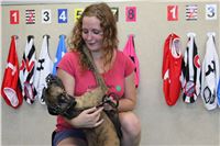 Dog_Brother_Greyhound_Park_Motol_CGDF_IMG_2884.JPG