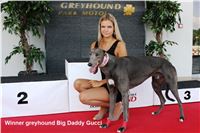 Winner_Big_Daddy_Gucci_Greyhound_Park_Prague_IMG_3229.jpg