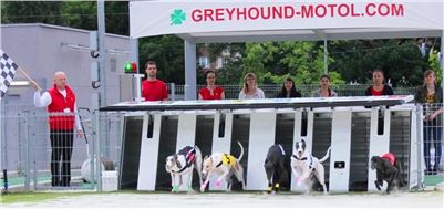 Greyhound_Racing_Greyhound_Park_Motol_IMG_9437.JPG