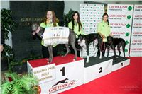 10. Grand_Opening_Greyhound_Park_Motol_Prague_Winner_Greyhound_Racing_20130913-RF__0915.jpg