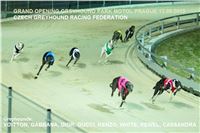 2. Grand_Opening_Greyhound_Park_Motol_Prague_CGDF.jpg