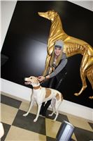 Grand_Opening_Greyhound_Park_Motol_Prague_G.Guncikova_IMG_3899.JPG