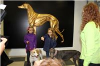 Grand_Opening_Greyhound_Park_Motol_Prague_IMG_3885.JPG