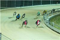 Grand_Opening_Greyhound_Park_Motol_Prague_RF_0708.jpg