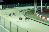 Grand_Opening_Greyhound_Park_Motol_Prague_RF_0710.jpg