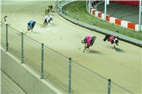 Grand_Opening_Greyhound_Park_Motol_Prague_RF_0712.jpg