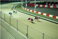 Grand_Opening_Greyhound_Park_Motol_Prague_RF_0713.jpg