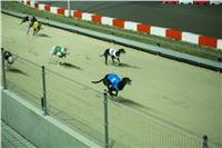 Grand_Opening_Greyhound_Park_Motol_Prague_RF_0714.jpg