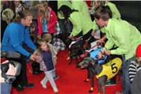 Grand_Opening_Greyhound_Park_Motol_Prague_Sporcl_IMG_4231.JPG