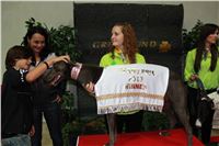 Grand_Opening_Greyhound_Park_Motol_Prague_winners_Krizova_IMG_4297.JPG