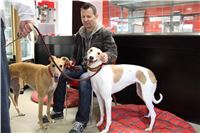 Snidane_s_Novou_Greyhound_Park_Motol_IMG_4470.JPG