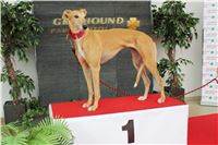 Snidane_s_Novou_Greyhound_Park_Motol_IMG_4524.JPG