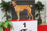 Snidane_s_Novou_Greyhound_Park_Motol_IMG_4538.JPG