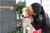 Snidane_s_Novou_Greyhound_Park_Motol_IMG_4560.JPG