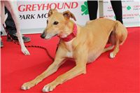 Snidane_s_Novou_Greyhound_Park_Motol_IMG_4686.JPG