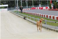 Snidane_s_Novou_Greyhound_Park_Motol_IMG_4721.JPG