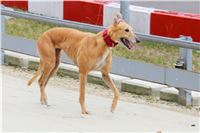 Snidane_s_Novou_Greyhound_Park_Motol_IMG_4724.JPG