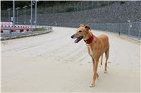 Snidane_s_Novou_Greyhound_Park_Motol_IMG_4728.JPG