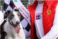 Greyhound_Racing_White_Elbony_IMG_2560_v.JPG