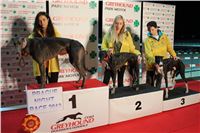 Winner_Prague_Night_Greyhound_Race_Greyhound_Park_Motol_CGDF_IMG_5520.JPG