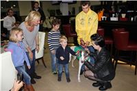 St. Leger_2013_Greyhound_Park_Motol_Prague_CGDF_IMG_6313.JPG