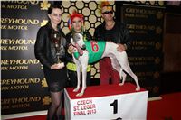 St-Leger_2013_Greyhound_Park_Motol_Prague_CGDF_IMG_6319.jpg