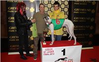 St. Leger_2013_Greyhound_Park_Motol_Prague_CGDF_IMG_6327.JPG