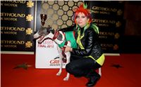 St. Leger_2013_Greyhound_Park_Motol_Prague_CGDF_IMG_6340.JPG