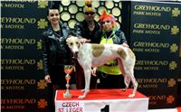 St. Leger_2013_Greyhound_Park_Motol_Prague_CGDF_IMG_6422.JPG