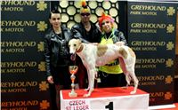 St-Leger_2013_Greyhound_Park_Motol_Prague_CGDF_IMG_6429.jpg