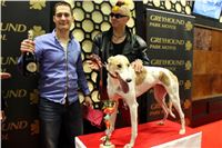 St. Leger_2013_Greyhound_Park_Motol_Prague_CGDF_IMG_6473.JPG