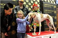 St. Leger_2013_Greyhound_Park_Motol_Prague_CGDF_IMG_6489.JPG