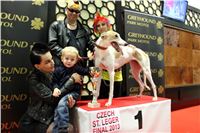 St. Leger_2013_Greyhound_Park_Motol_Prague_CGDF_IMG_6499.JPG