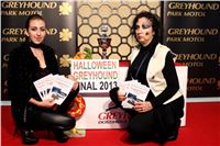 1-Halloween_Greyhound_Race_2013_Greyhound_Park_Prague_IMG_6619.jpg