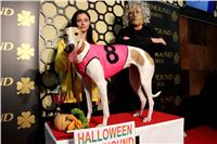 5. Halloween_Greyhound_Race_2013_Greyhound_Park_Prague_IMG_6857.JPG