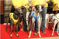 Halloween_Greyhound_Race_2013_Greyhound_Park_Prague_IMG_6635.JPG