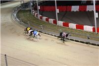 Halloween_Greyhound_Race_2013_Greyhound_Park_Prague_IMG_6677.JPG