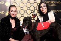 Halloween_Greyhound_Race_2013_Greyhound_Park_Prague_IMG_6722.JPG