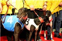 Halloween_Greyhound_Race_2013_Greyhound_Park_Prague_IMG_6752.JPG