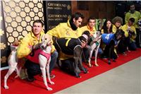 Halloween_Greyhound_Race_2013_Greyhound_Park_Prague_IMG_6764.JPG