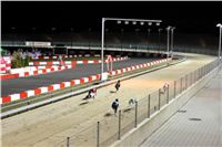 Halloween_Greyhound_Race_2013_Greyhound_Park_Prague_IMG_6798.JPG