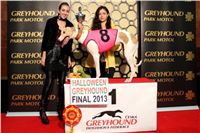 Halloween_Greyhound_Race_2013_Greyhound_Park_Prague_IMG_6833.JPG