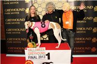 Halloween_Greyhound_Race_2013_Greyhound_Park_Prague_IMG_6887.JPG