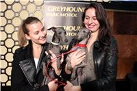 Halloween_Greyhound_Race_2013_Greyhound_Park_Prague_IMG_6897.JPG